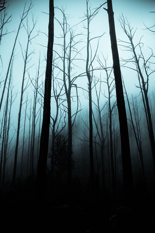 ponderation:Twisted Words by Jack Cain