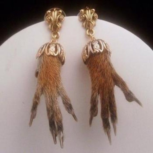 Squirrel Feet Earrings. WHY? porn pictures