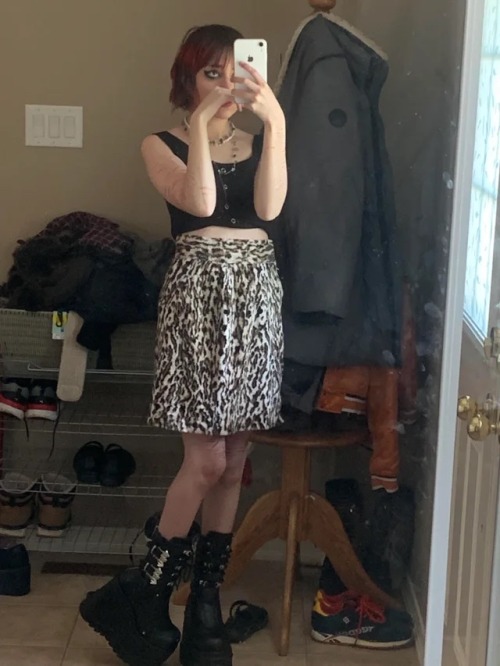 Cheetah Print