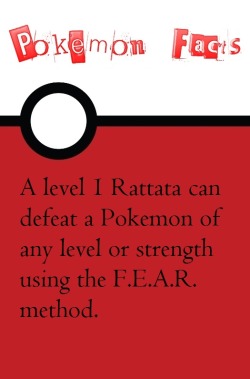 sexy-oak:  coolpokemonfacts:  In case anybody is curious or needs an explanation, F.E.A.R stands for Focus Sash - Endeavor - Attack - Rattata. Try it out like this: Enter a battle with any Pokemon (preferably a high-level Pokemon so that you’re more