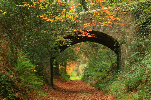 allthingseurope: Cornwall, UK (by Mike Crowle)