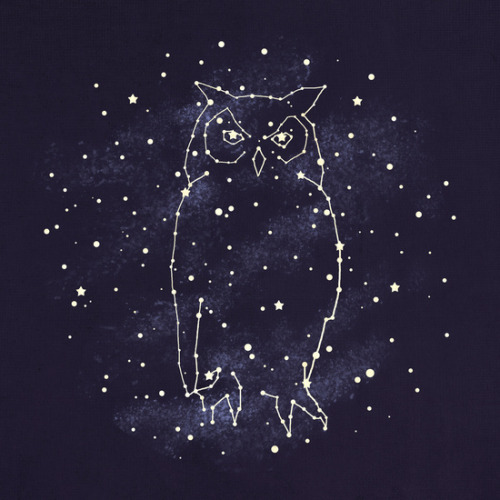 bestof-society6: ART PRINTS BY TERRY FAN Cosmic Butterfly Owl Constellation  Whale Constellatio