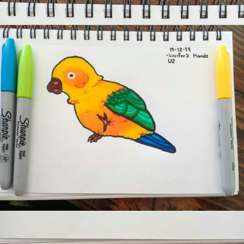 19-12-19UN PERIQUITO!!!!!!Me gustó mucho#sketchbook #colorful #parakeet #periquito #yellow #ma