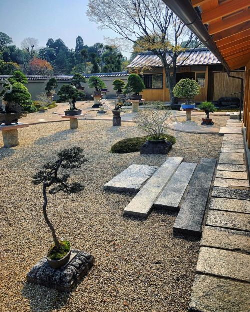 大徳寺 芳春院盆栽庭園 [ 京都市北区 ] Daitokuji Hoshunin Temple Bonsai Garden, Kyoto の写真・記事を更新しました。 ーー2021年開園！小堀遠州や加