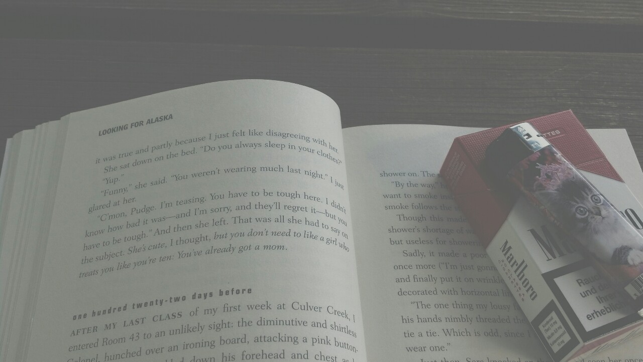 eiskalte-prinzessin:  disputeur:  looking for alaska  Best book 🌸
