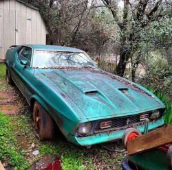 catchmeifyoucan427:  beerbellyblunt:  BeerBellyBlunt     1971 Mustang, sadly left in mother nature too long  Still tons of potential! Even if it’s not my favorite classic body style 