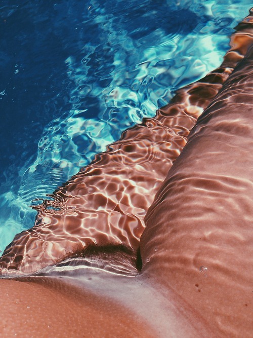 annantan:  Chaudes caresses irisées   un riccio di mare !!!!