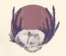 1000drawings: Fox & Lavender  by Jessica