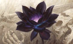 xephirasun:  Black Lotus by Chris Rahn 