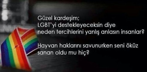 Lgbt Turkey On Tumblr