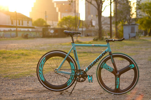 Porn photo bikeplanet:  Bianchi Pista  BIANCHI色