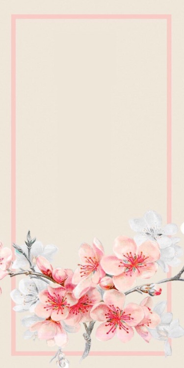 lovelyshawnmendes: made some lock screens