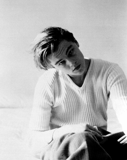 Leonardo DiCaprio Daily