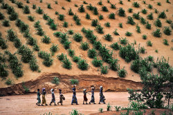 manufactoriel:  Niger by Steve McCurry 