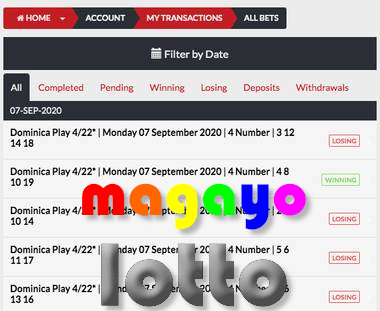 Magayo The lotto results for draw number 3907 were 9, 33, 39, 30, 2 and 17, and the supplementaries were 22 and 41…. magayo