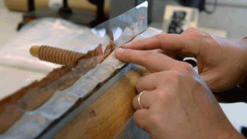 huntingtonlibrary:Preservation Week: Day 5 (part 2 of 2)It’s the American Library Association’s Pres
