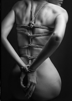 le shibari et moi