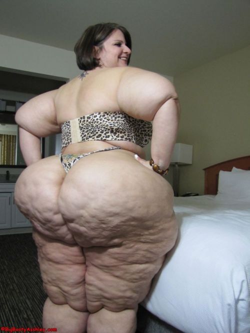 mikesosmoove23:  #ssbbwbooty #myfav #hugeass  Magnificent