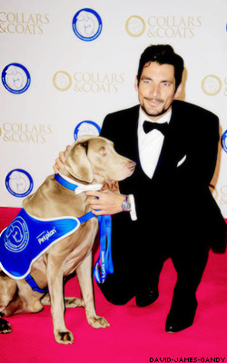 david-james-gandy:  David &amp; Dogs  cute