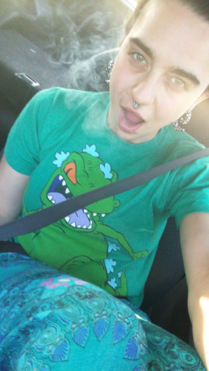 organichaos: Road trips with Reptar ✨