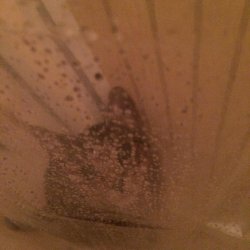 cute-overload:  This is what I see when I take showers now. (risked my iPhone!)http://cute-overload.tumblr.com  Omg.. All the kitty owners knows bout this.
