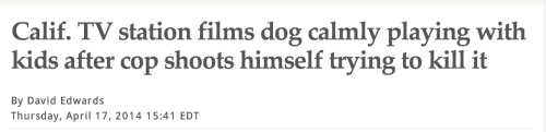 groans:  kids0ftheblackhole:  good  i like this story because a cop was shot but nobody will get in trouble for shooting the cop and some children got to calmly play with a dog 