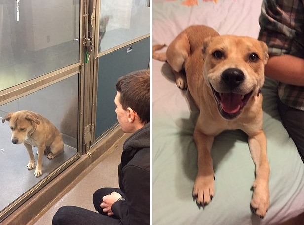 catsbeaversandducks:  &ldquo;Saving one animal’s life won’t make a difference