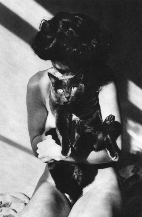 XXX m-as-tu-vu:  Barbara Rix ‘Cat and Shadows’ photo