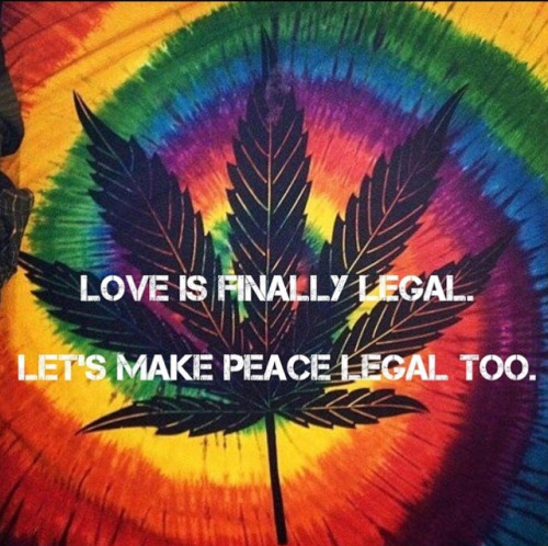 http://blowmelikekushhh.tumblr.com/post/122779462949