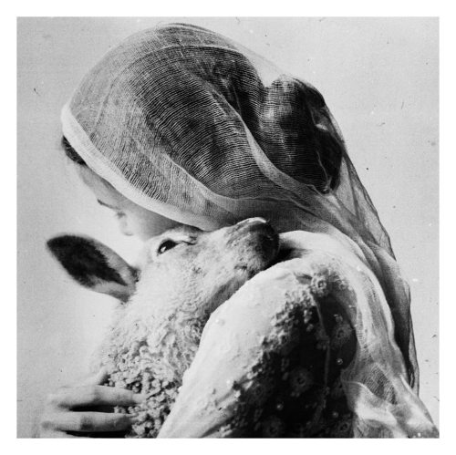 6thsensical:boudhabar:Laura Makabresku “Be soft. Do not let the world make you hard. Do not let pain
