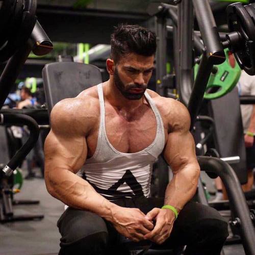 muscleroidgrowth - Powerful Musclemen