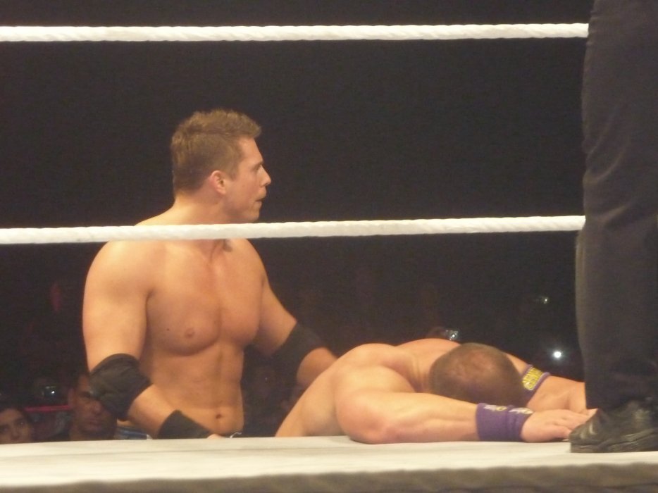 rwfan11:  Just go for it Miz! (we don’t blame you) Yank down those jean shorts