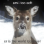 whydoyouhavemoney
