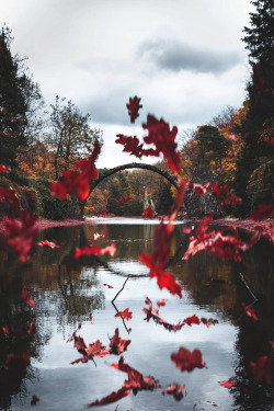 ashotasfireandasdeepastheocean:  lsleofskye:Rakotzbrücke, Germany | tom_juenemann   Beauty of Autumn 🍁