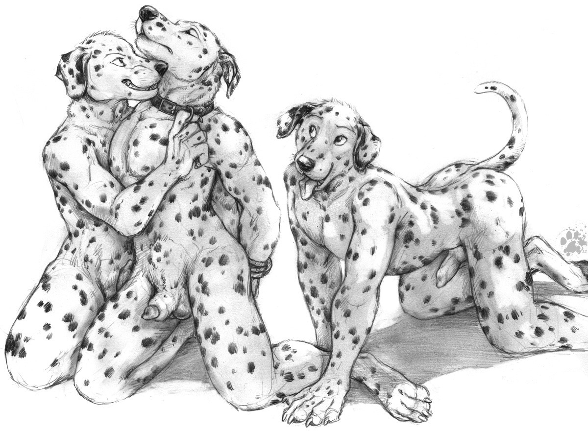 yiffy-goodness:  (Tigers and Dogs &frac12;) Had to slip in an otter ;D X,X,X,X,X,X,X,X,X,X