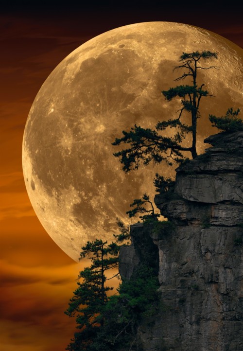 Moonlit DreamsMoonlit Dreams - Photography by Peter Lik. Displayed at a larger resolution to show th