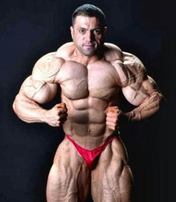 justmuscle77:  Mehdi Hatami is massive! Wow