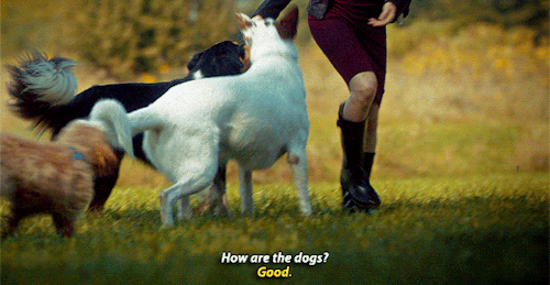 nbchannibaldaily:Well, he’s not gonna find me there.