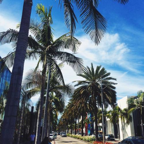 sixteeninthemorning - BEVERLY HILLS #life (at Rodeo Drive)