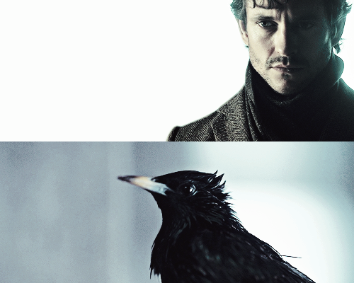 wearyvoices:  I can feed the caterpillar, I can whisper through the chrysalis, but