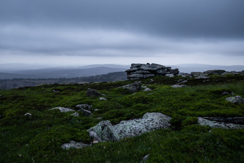 Brockenklippen by Oliver Henze Facebook | Waldlandschaft | Posterlounge | Instagram | 500px