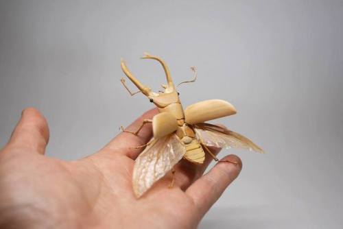 Bamboo Insect Sculptures Brought to Life by Noriyuki SaitohNoriyuki Saitoh stays true to his Japanes