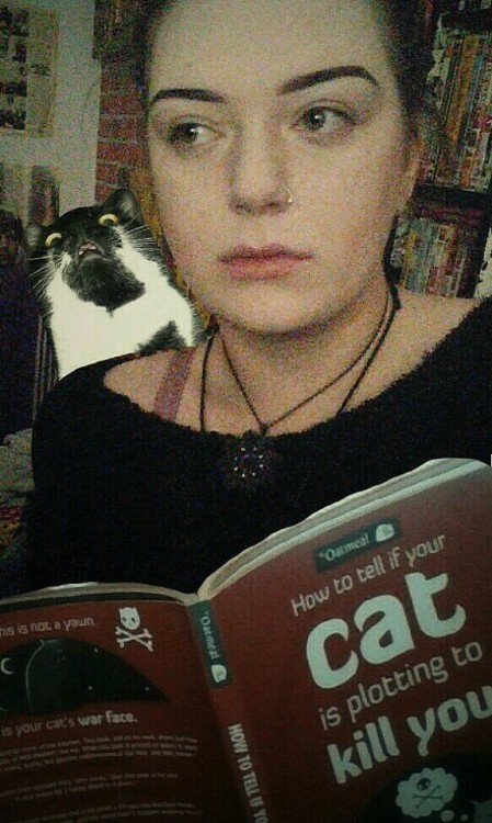 thebest-memes:  My friend’s cat is on to her.