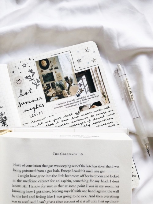 crescentwords: hot summer nights (2017) &amp; the goldfinch ✨