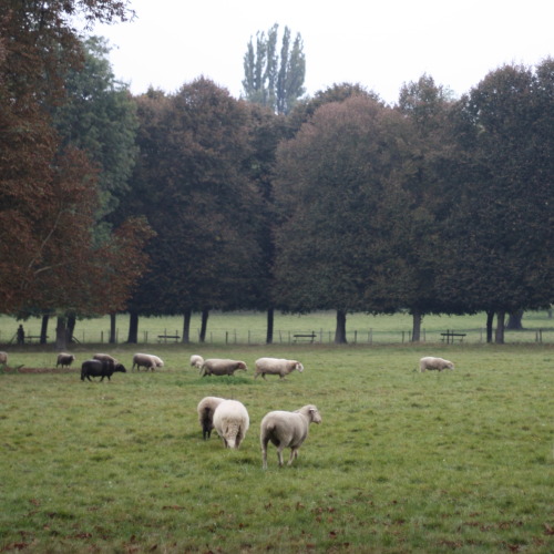 Versailles, France2014