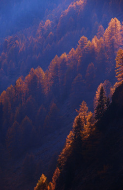 musts:  Steve Thompson  Dolomites, Italy