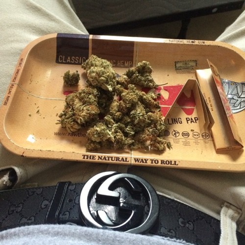 weedporndaily:  Fat #WakenBake Sesh then off to see hunger games by irish_herbalist http://ift.tt/1AWCic1