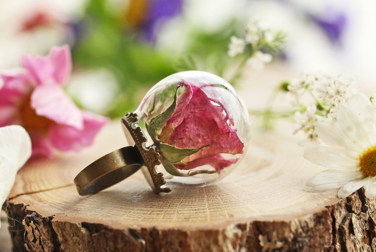satans-victims:  sosuperawesome:  Crystal terrarium, dandelion, rose, wildflower
