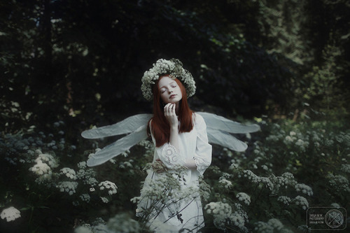 mymodernmet:  Interview: Fantastical Photos Reveal Moments of Magic by Darja Bilyk 