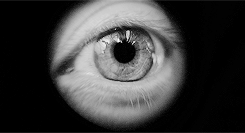 tobiaseatonssss-deactivated2015:  Every faction conditions its members to think and